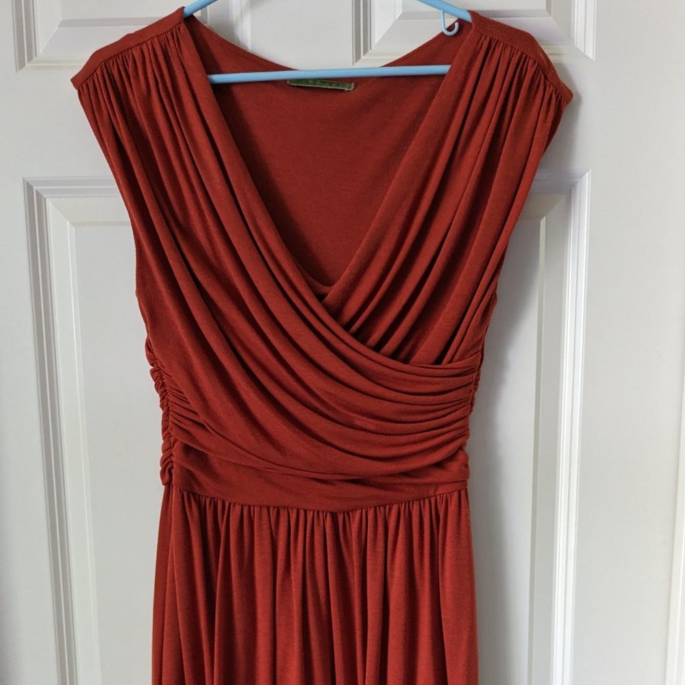Burnt orange dress, Velvet by Graham & Spencer